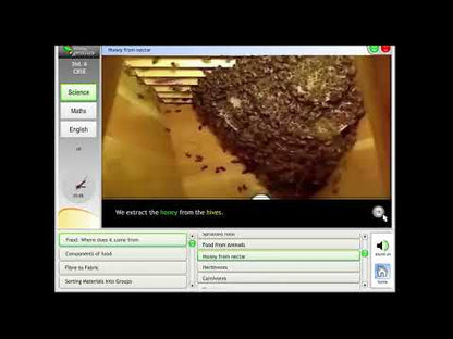 Young Genius  Class 6